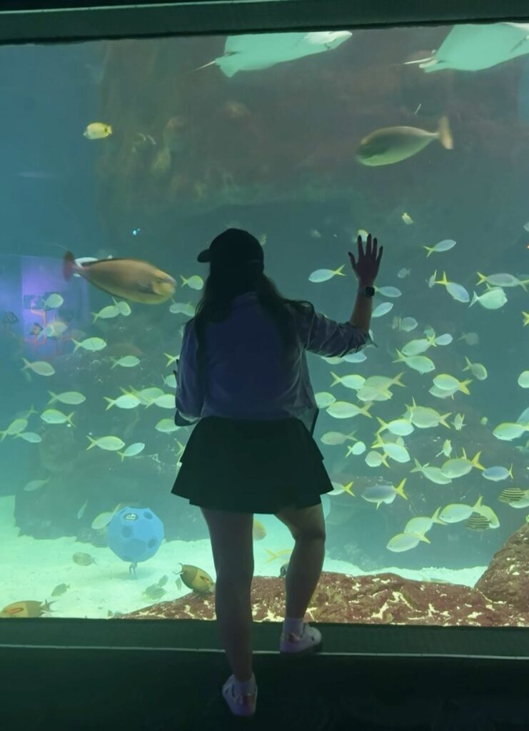 Girl with her hand on a large aquarium window watching fish and rays swim by